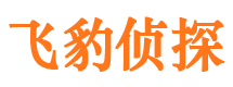 怀集寻人公司